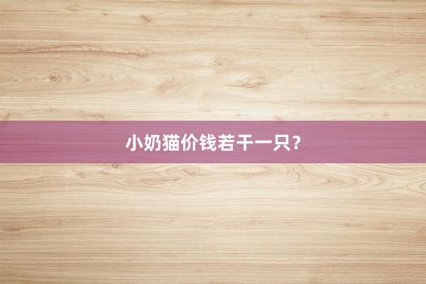 小奶猫价钱若干一只？
