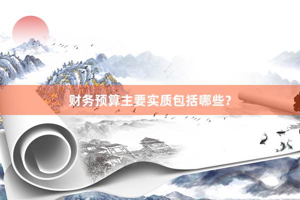 财务预算主要实质包括哪些？